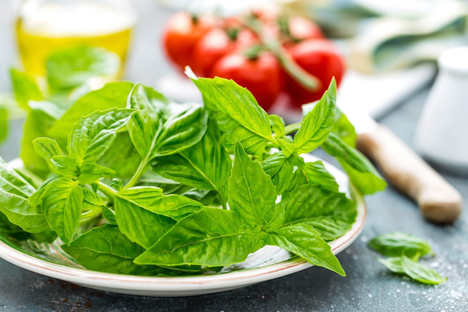 Ultimate comparison Thai Basil vs Sweet Basil Golden Basil